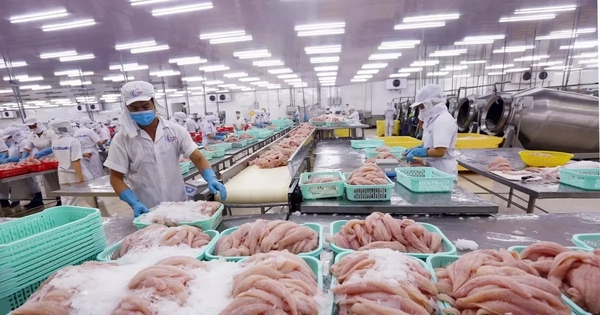 Châu Âu siết mạnh truy xuất nguồn gốc thủy sản