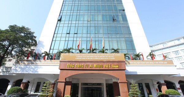 Vicem bán đấu giá cổ phần tại nhiều công ty con, công ty liên kết