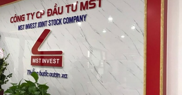 MST chào bán thành công 30 triệu cổ phiếu cho 9 nhà đầu tư trong nước