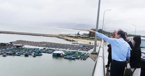 Gia Lai mời gọi đầu tư siêu dự án nhà máy điện gió hơn 48.000 tỉ đồng