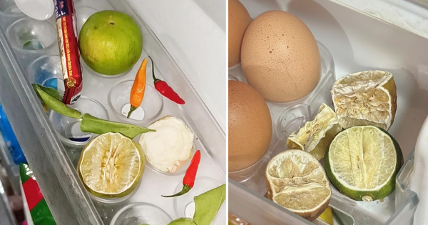 Trung bình cửa tủ lạnh của các gia đình Việt Nam đều có 1 thứ: Hóa ra có tác dụng bất ngờ