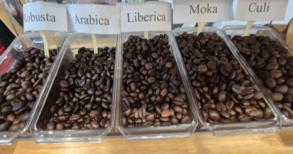 Giá cà phê hôm nay 26-11: Tăng 3 con số trở lại