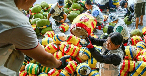 1 loại trái cây của Việt Nam chính thức được xuất khẩu chính ngạch sang Trung Quốc: Nông dân thu lợi lớn!