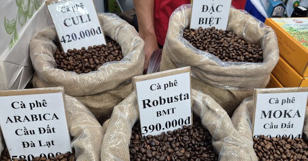 Giá cà phê hôm nay 29-11: Thêm phiên tăng và định hướng mới của cà phê Việt