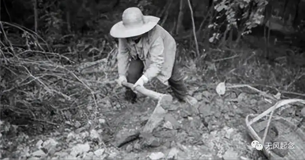 Người nông dân bất ngờ đào được con rắn đen mắt đỏ, chuyên gia một mực khẳng định là rồng: Sự thực là gì?