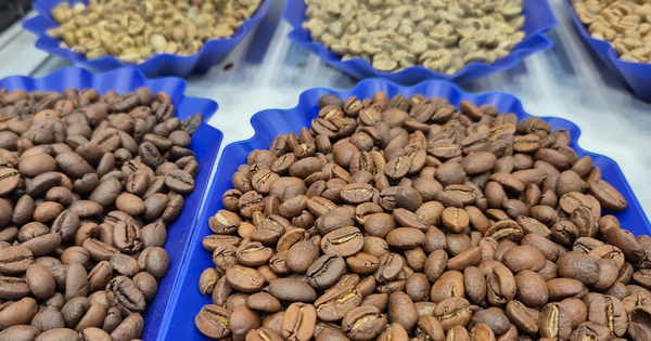 Giá cà phê hôm nay 30-11: Một tuần lạ lùng