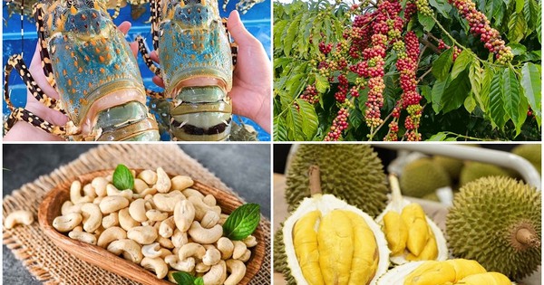 Điểm danh loạt hàng Việt Nam đạt kỷ lục xuất khẩu, nức tiếng thế giới