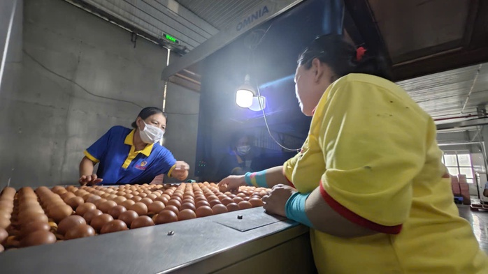 Ba Huân bị cưỡng chế ngừng thủ tục hải quan vì nợ thuế hơn 51 tỉ đồng, người trong cuộc nói gì? - Ảnh 1