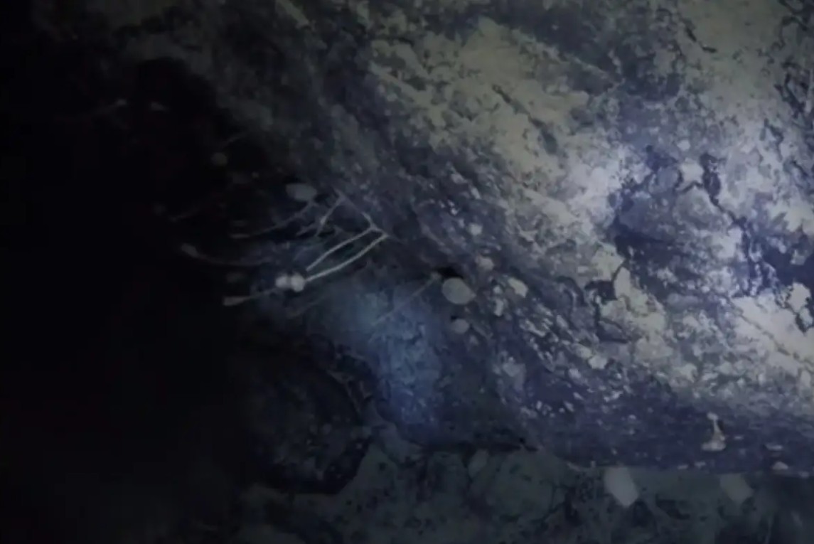 Khoan xuống lớp băng Nam Cực, giới khoa học choáng váng khi thấy dấu tích 14-30 triệu năm tuổi 'ẩn mình' - Ảnh 4