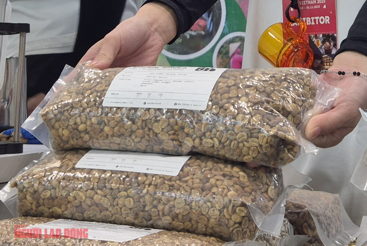 Giá cà phê hôm nay 3-11: Một loại cà phê nhân giá 650.000 đồng/kg - Ảnh 1