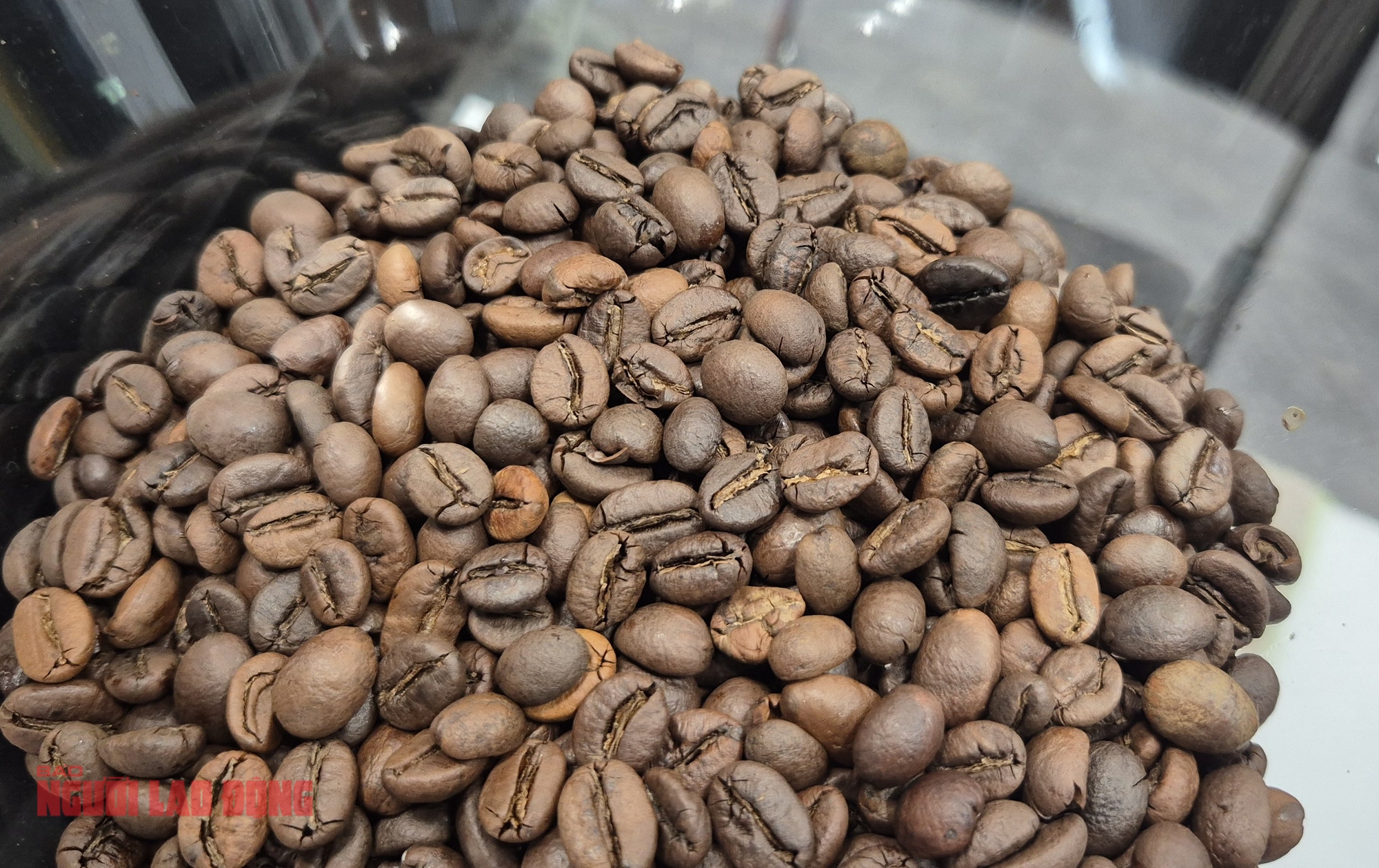 Giá cà phê hôm nay 4-11: Tăng vọt - Ảnh 1