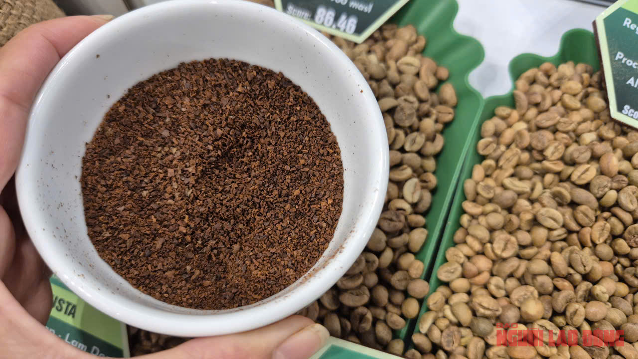 Giá cà phê hôm nay 7-11: Bất ngờ bốc hơi 3 con số - Ảnh 1