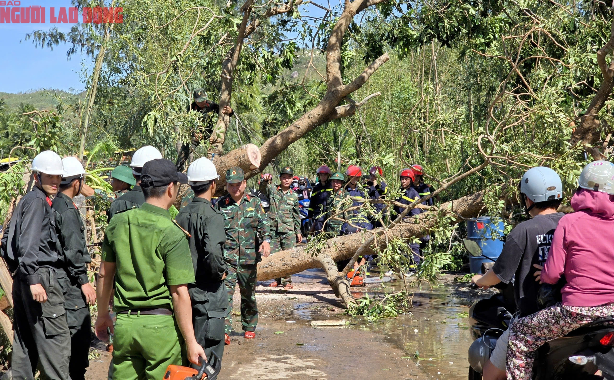 Đắk Lắk: Hàng trăm tàu cá chồng chất lên nhau sau bão số 13, ngư dân bật khóc - Ảnh 12
