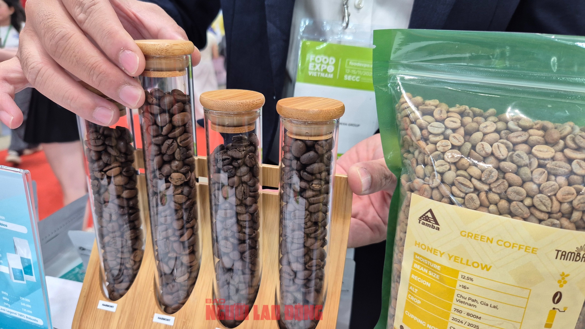 Giá cà phê hôm nay 14 -11: Tiếp tục rớt giá - Ảnh 1