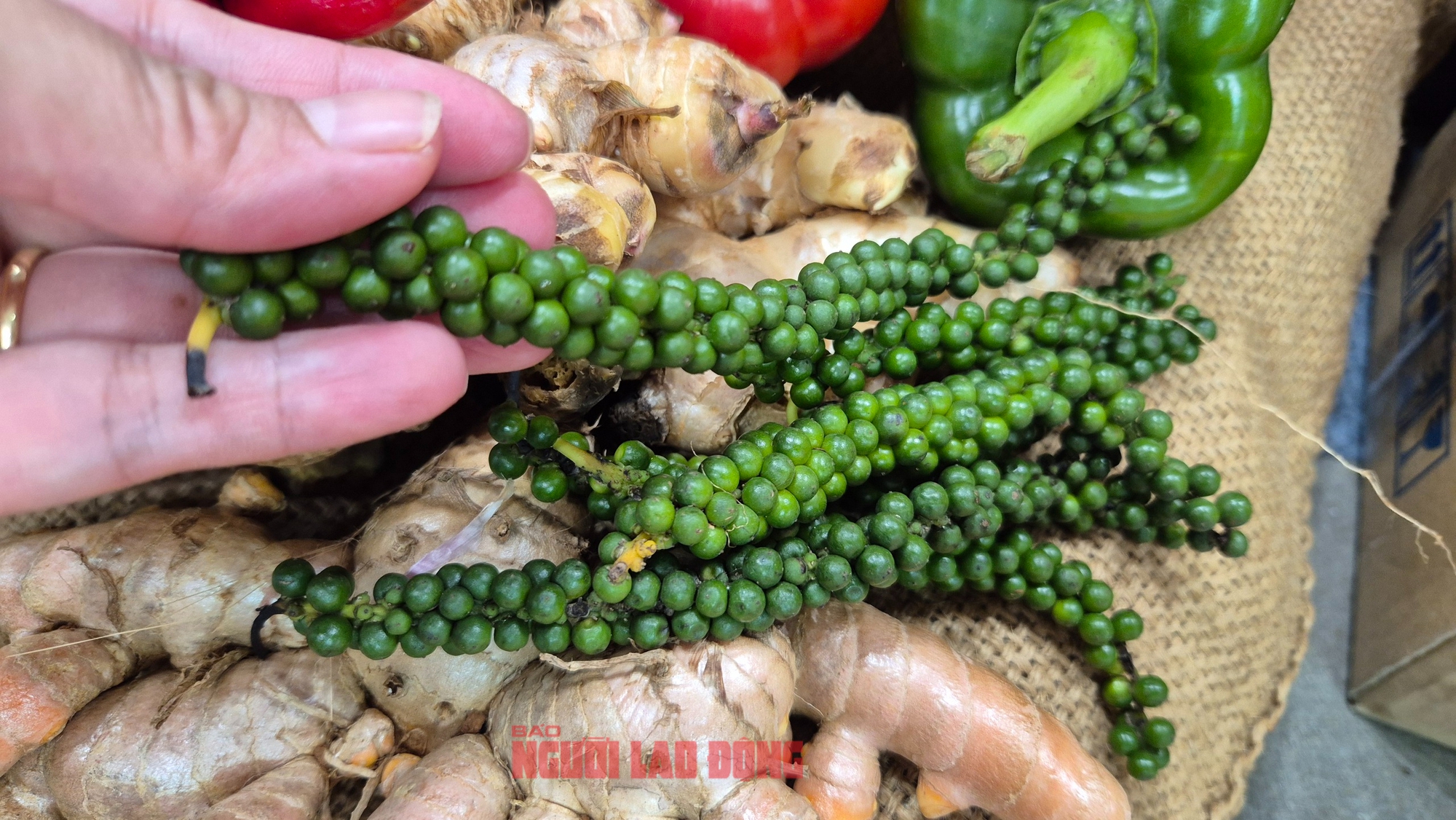 Mỹ chính thức miễn thuế đối ứng với cà phê, tiêu - Ảnh 1