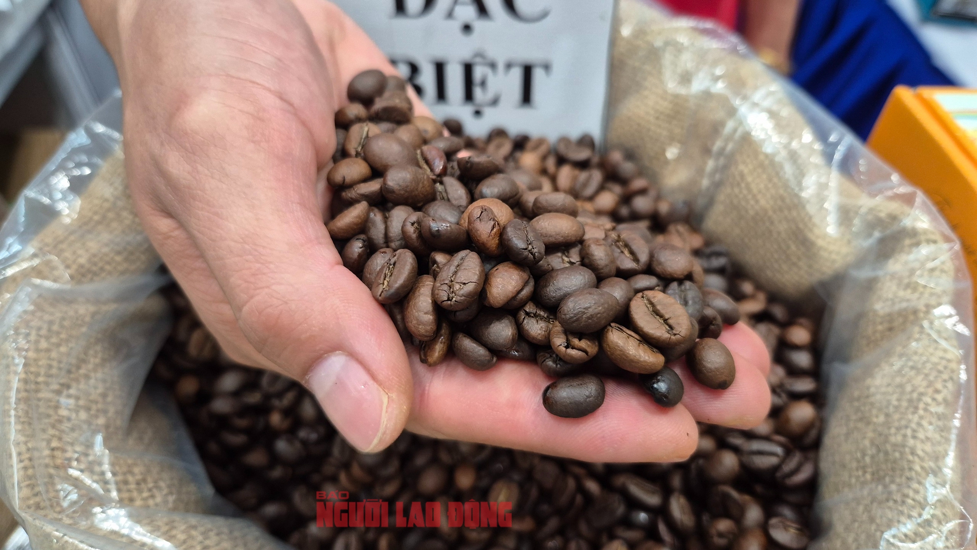 Giá cà phê hôm nay 16-11: Tuần buồn của giá cà phê - Ảnh 1