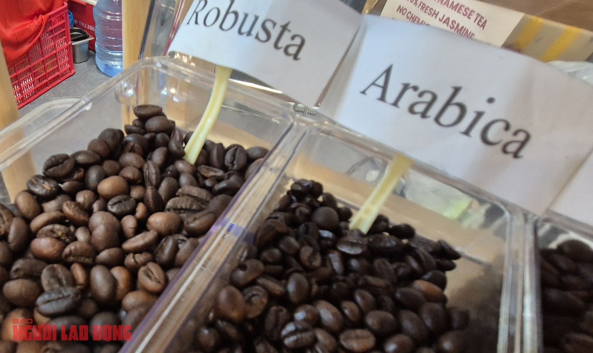 Giá cà phê hôm nay 19-11: Tiếp tục tăng cao - Ảnh 1