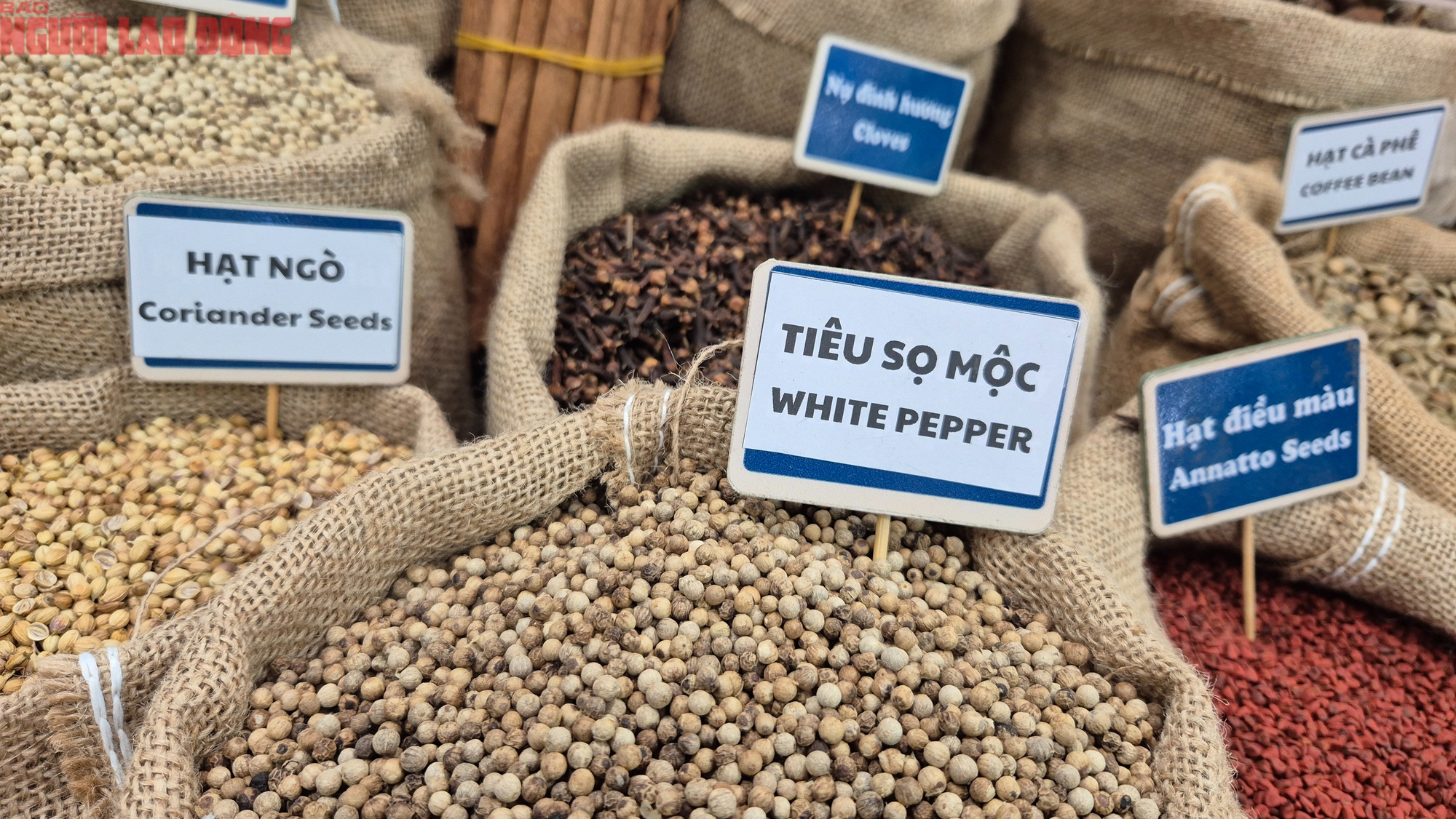 5 ngành hàng tỉ đô kiến nghị Quốc hội gỡ khó - Ảnh 1