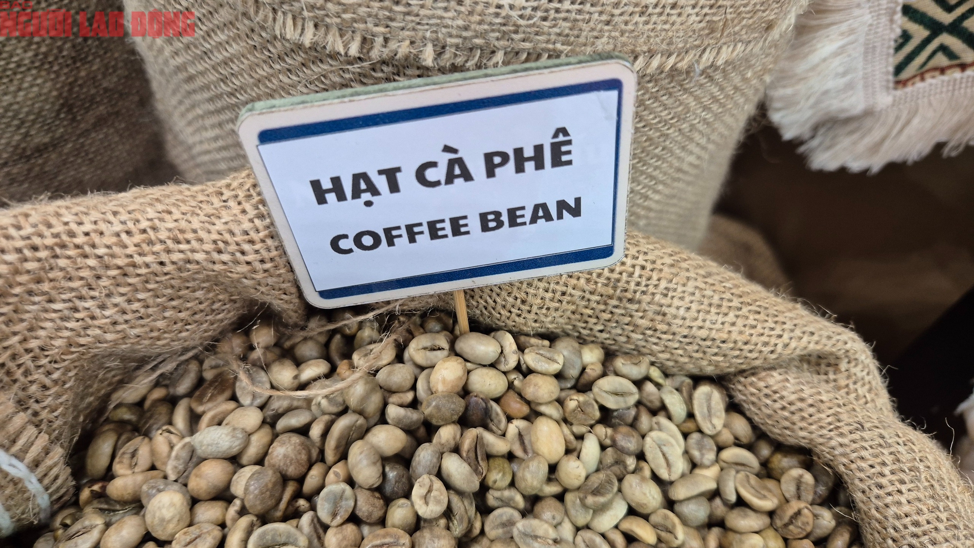 5 ngành hàng tỉ đô kiến nghị Quốc hội gỡ khó - Ảnh 2