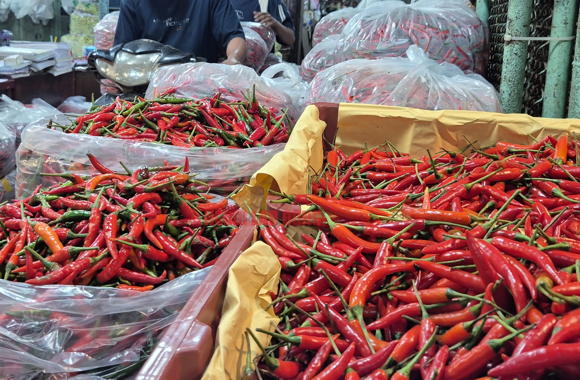 Ngày 25-11, tiểu thương chợ đầu mối Thủ Đức "thở phào" - Ảnh 1