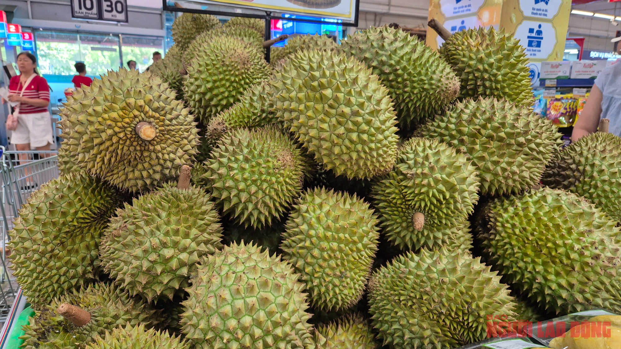 Giá sầu riêng tăng vọt nhưng nông dân vẫn kém vui - Ảnh 1