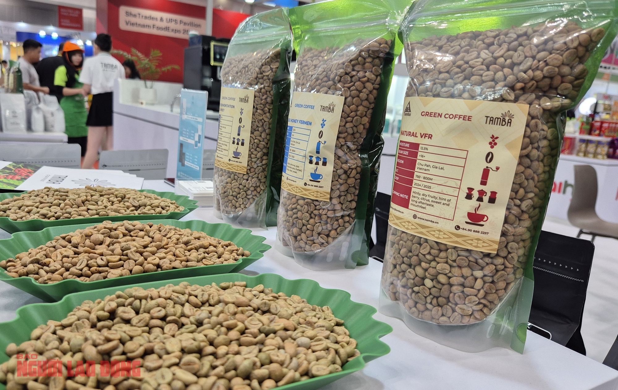 Giá cà phê hôm nay 28-11: Tăng trở lại, Malaysia mê cà phê Việt - Ảnh 1