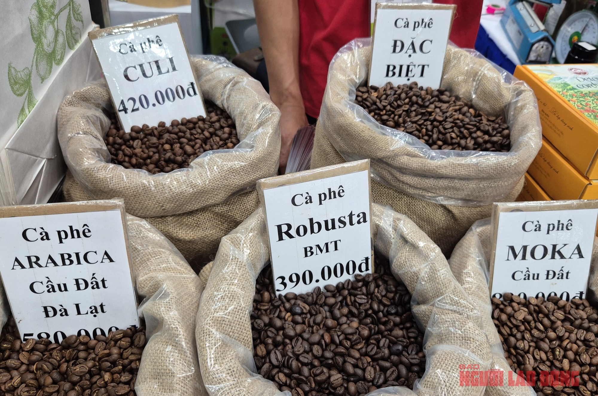 Giá cà phê hôm nay 29-11: Thêm phiên tăng và định hướng mới của cà phê Việt - Ảnh 1