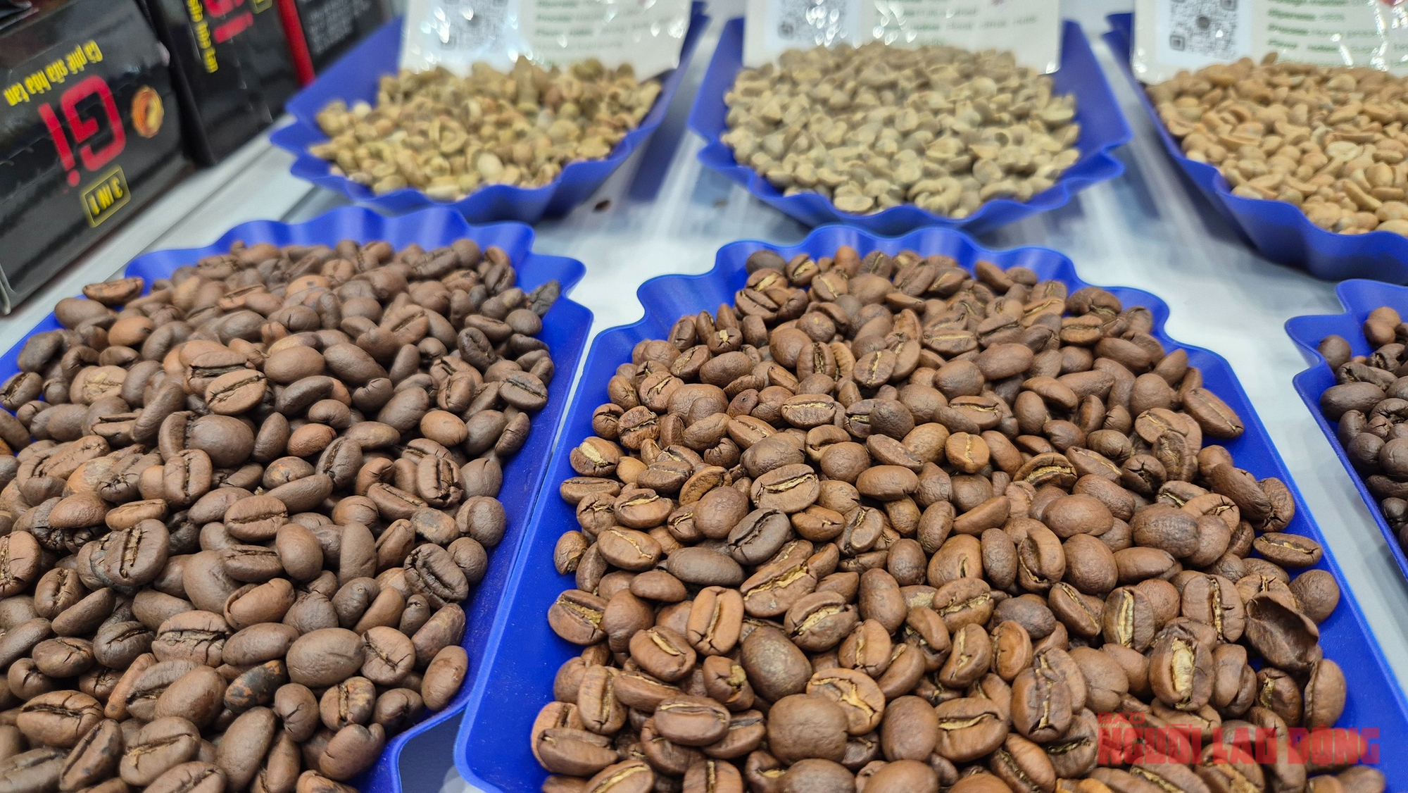 Giá cà phê hôm nay 30-11: Một tuần lạ lùng - Ảnh 1