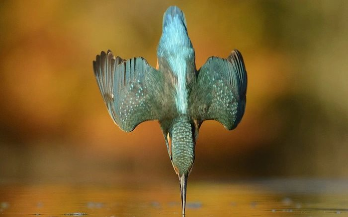 Xem cách người Nhật "vẽ hình" kỳ lạ cho tàu Shinkashen mới kinh ngạc trước khối óc của họ kỳ tài đến mức nào - Ảnh 3