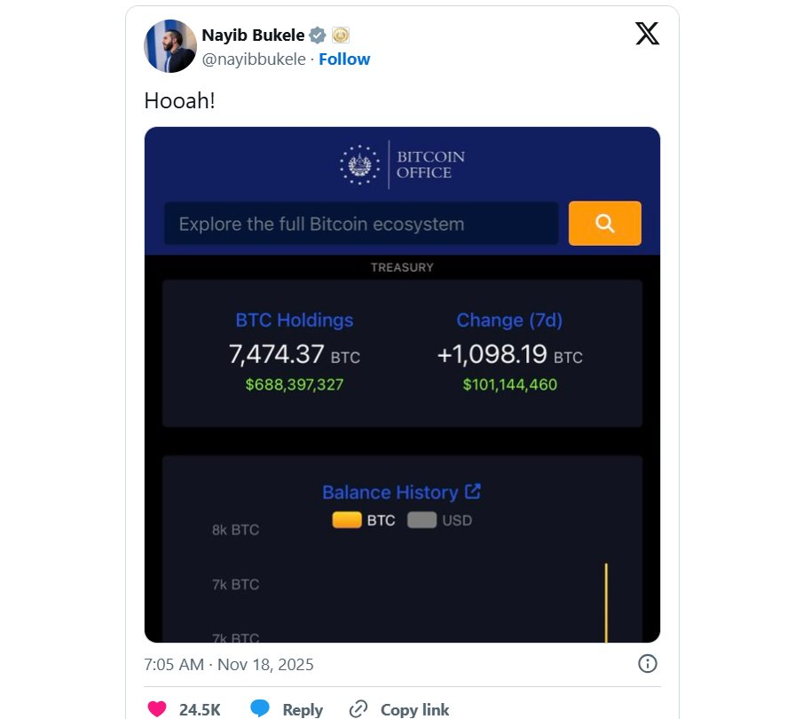 Đi ngược tâm lý sợ hãi của toàn thị trường, Tổng thống El Salvador vừa ‘khoe’ bắt đáy thành công 1.098 Bitcoin - Ảnh 2