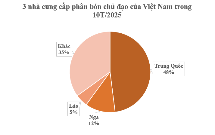 Hàng trăm nghìn tấn hàng từ Nga, Lào cùng đổ bộ Việt Nam: Nước ta sử dụng gấp 3 lần trung bình thế giới, chi gần 2 tỷ USD nhập khẩu - Ảnh 2
