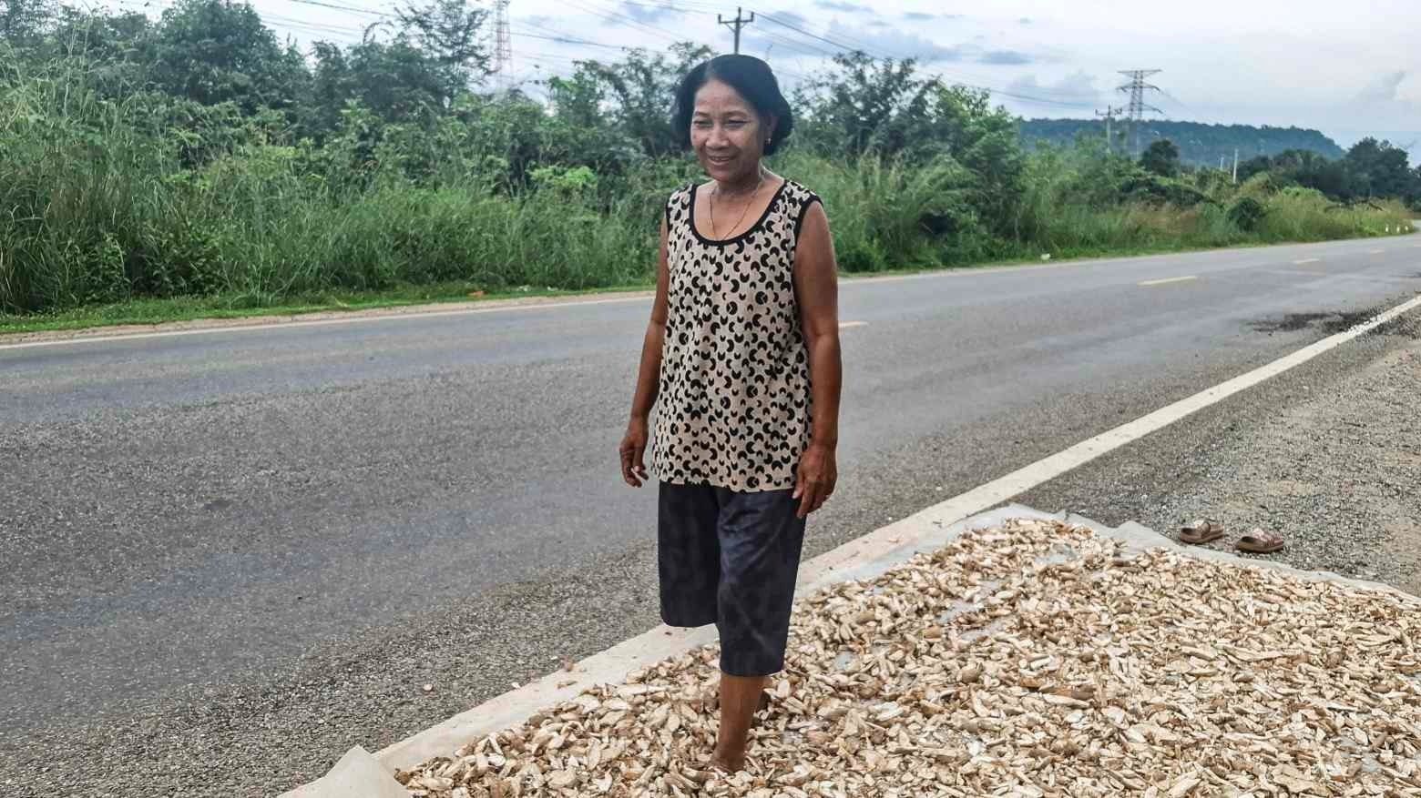 Buồn của nông dân Campuchia: Thái Lan ngừng mua hàng triệu tấn mặt hàng chủ chốt, giá rớt thảm xuống chỉ còn hơn 1.000 đồng/kg, cạnh tranh đã khó càng thêm khó - Ảnh 1