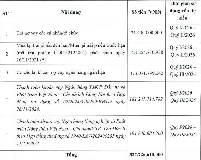 Chương Dương Corp dự kiến chào bán gần 53 triệu cổ phiếu để tăng gấp đôi vốn điều lệ - Ảnh 1