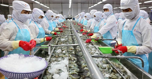 Không được nghỉ cuối tuần, doanh nghiệp thuỷ sản chật vật tuyển lao động