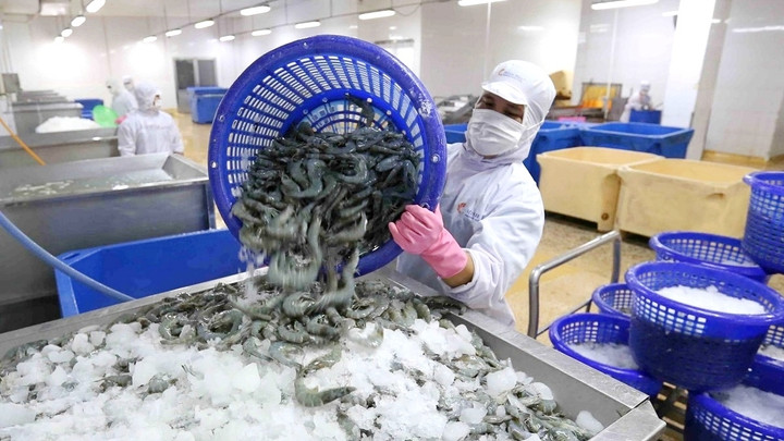 Không được nghỉ cuối tuần, doanh nghiệp thuỷ sản chật vật tuyển lao động - Ảnh 2