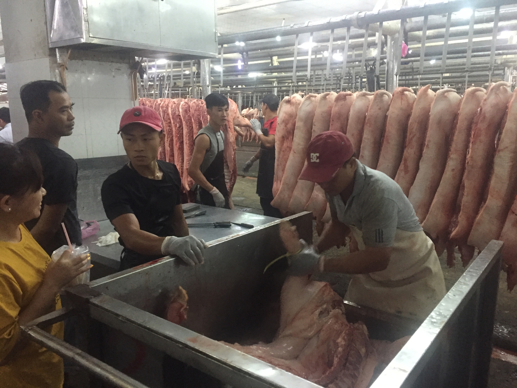 Giá heo cuối năm khó tăng đột biến - Ảnh 1