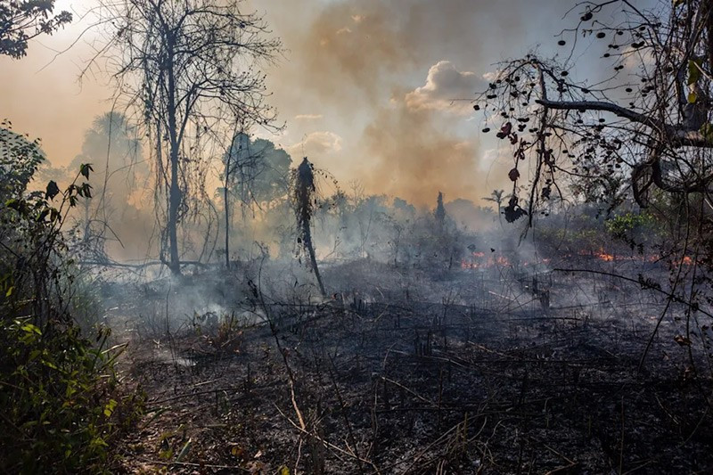 15 thảm họa thiên nhiên kinh hoàng tưởng như chỉ có trong phim - Ảnh 5