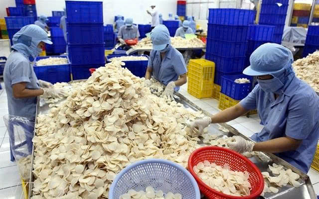 Công ty con của Vĩnh Hoàn muốn huy động gần 465 tỷ đồng để làm gì? - Ảnh 1