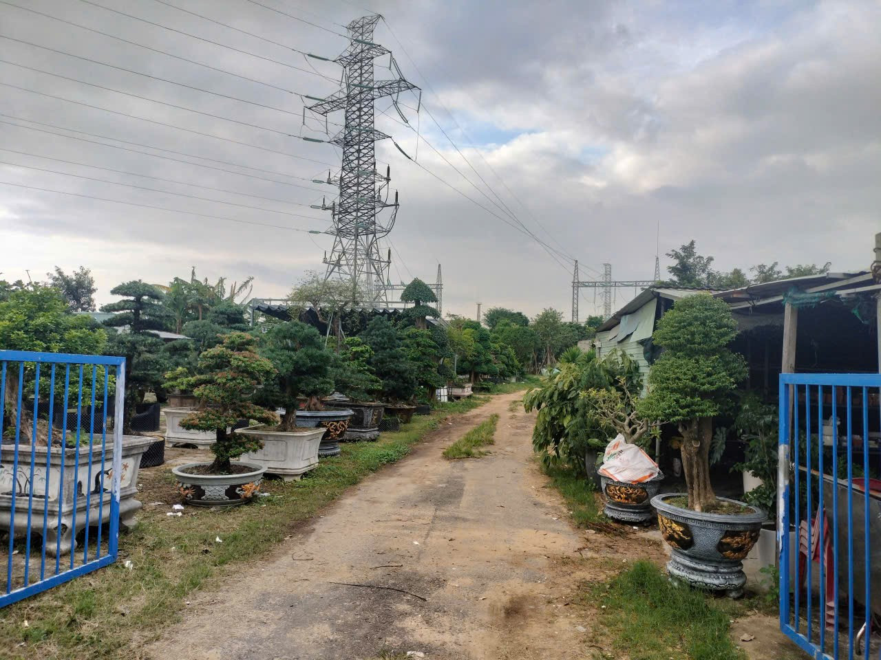 Cận cảnh tiến độ các dự án nhà ở xã hội 'hot' ở trung tâm Đà Nẵng - Ảnh 11