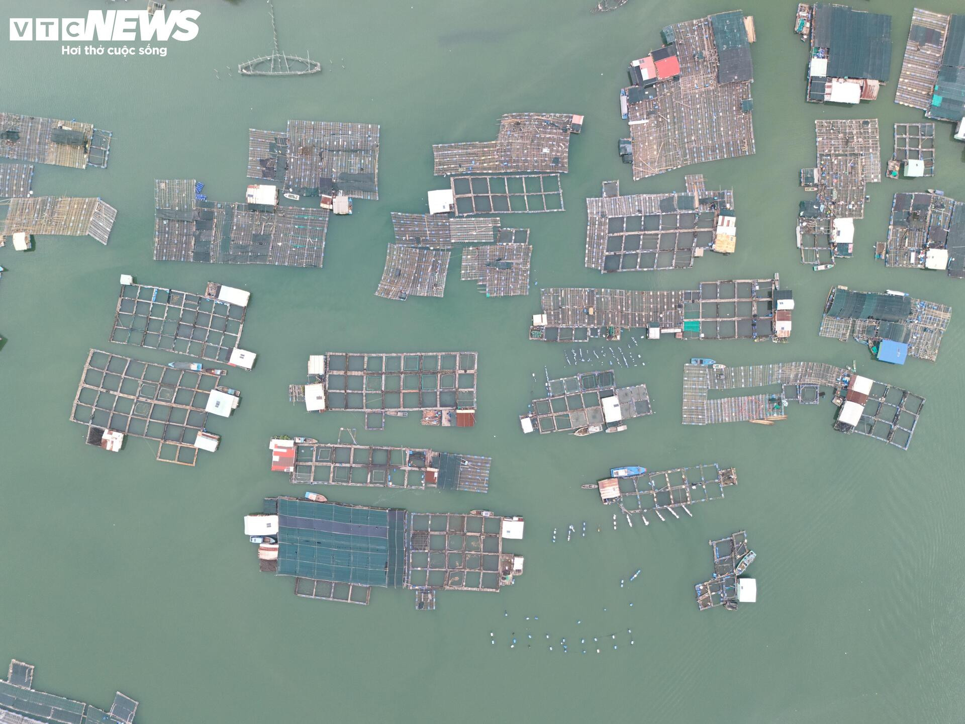 Toàn cảnh hòn đảo rộng gần 1.400 ha được đề xuất làm khu đô thị ở TP.HCM - Ảnh 5