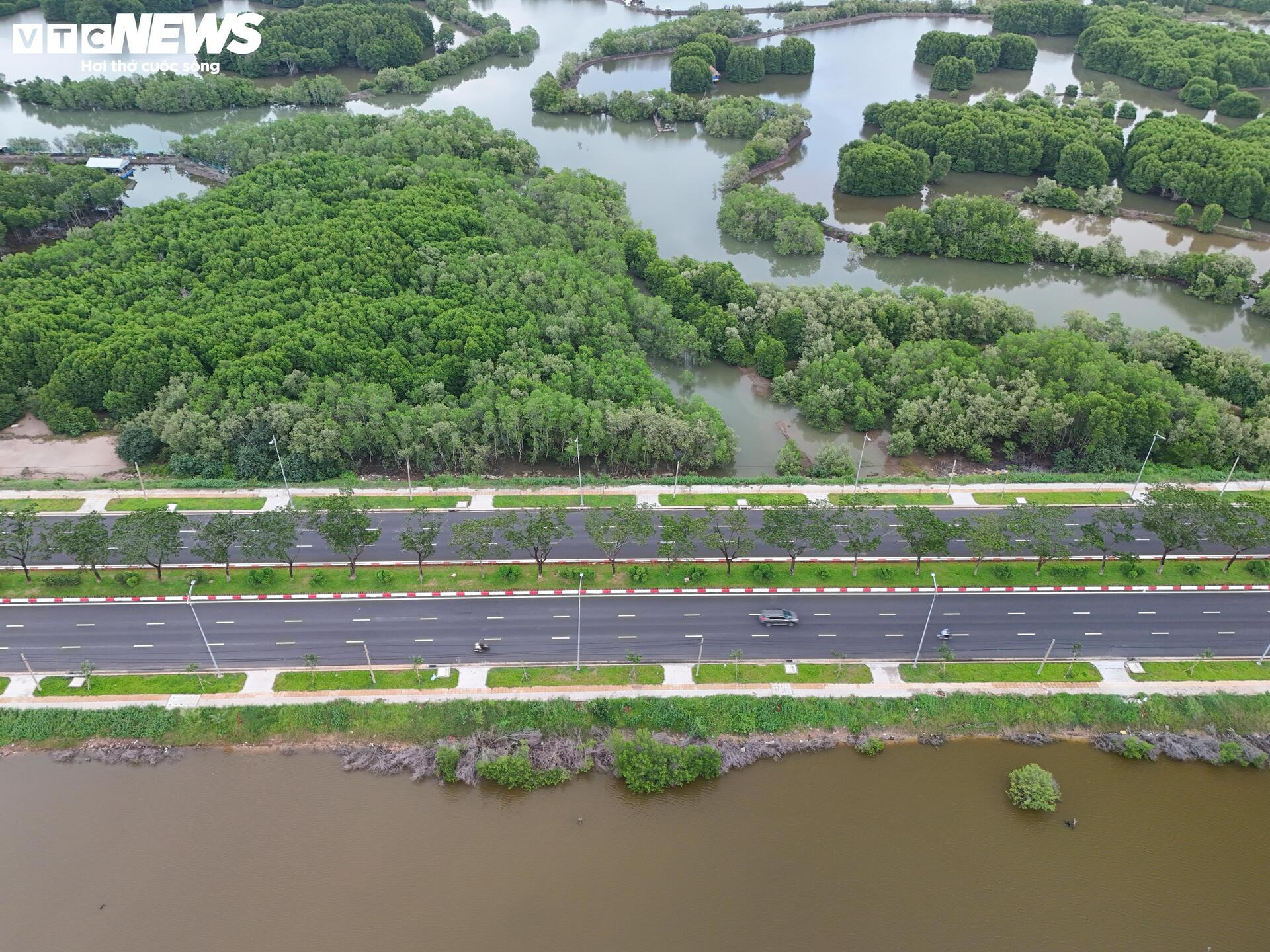 Toàn cảnh hòn đảo rộng gần 1.400 ha được đề xuất làm khu đô thị ở TP.HCM - Ảnh 11