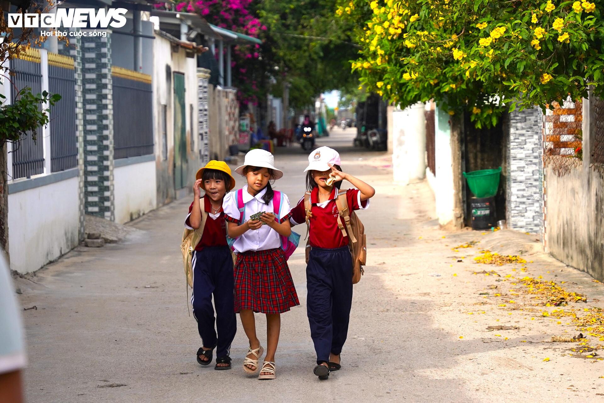 Cận cảnh khu đất ở Khánh Hòa dự kiến làm nhà máy điện hạt nhân - Ảnh 11