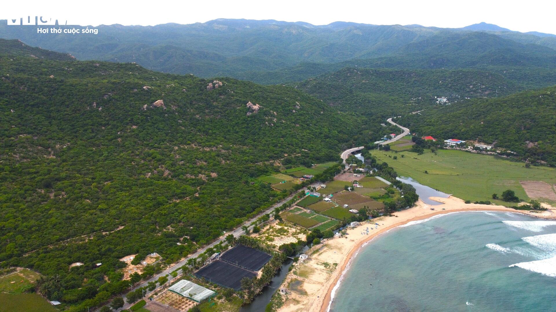 Cận cảnh khu đất ở Khánh Hòa dự kiến làm nhà máy điện hạt nhân - Ảnh 2