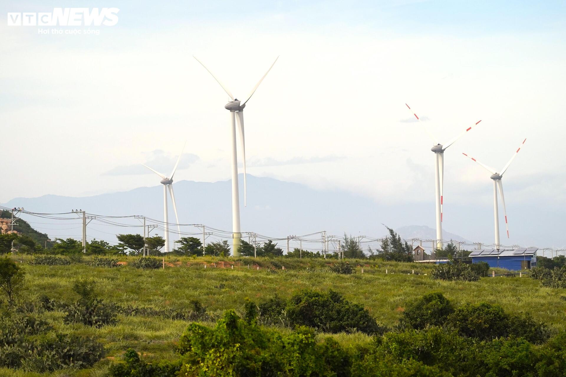 Cận cảnh khu đất ở Khánh Hòa dự kiến làm nhà máy điện hạt nhân - Ảnh 3