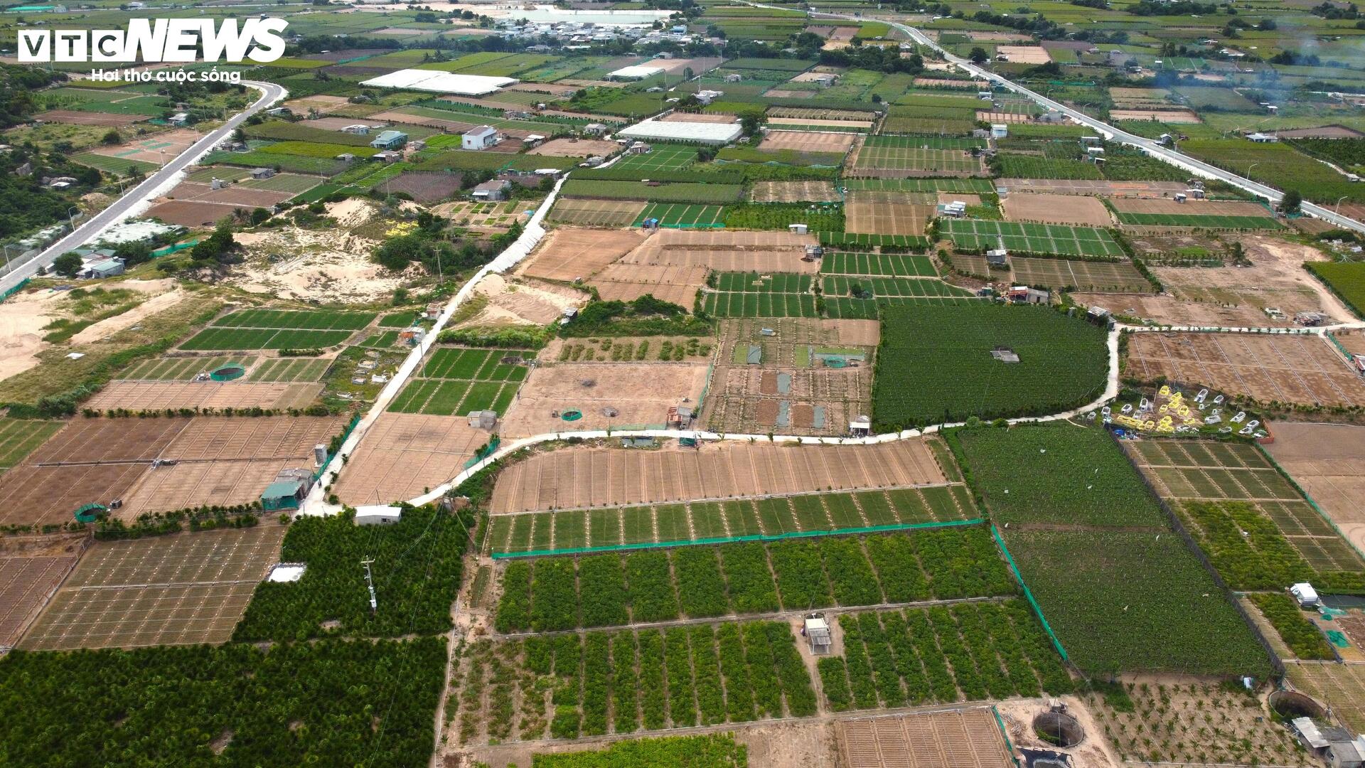 Cận cảnh khu đất ở Khánh Hòa dự kiến làm nhà máy điện hạt nhân - Ảnh 4