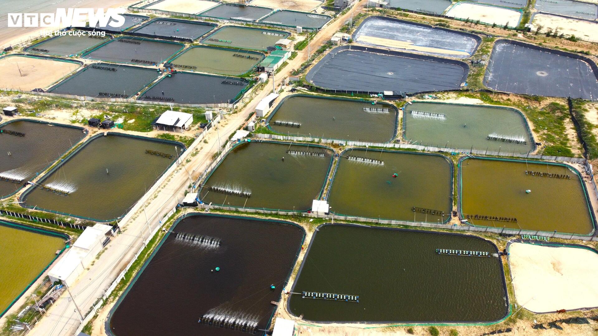 Cận cảnh khu đất ở Khánh Hòa dự kiến làm nhà máy điện hạt nhân - Ảnh 5