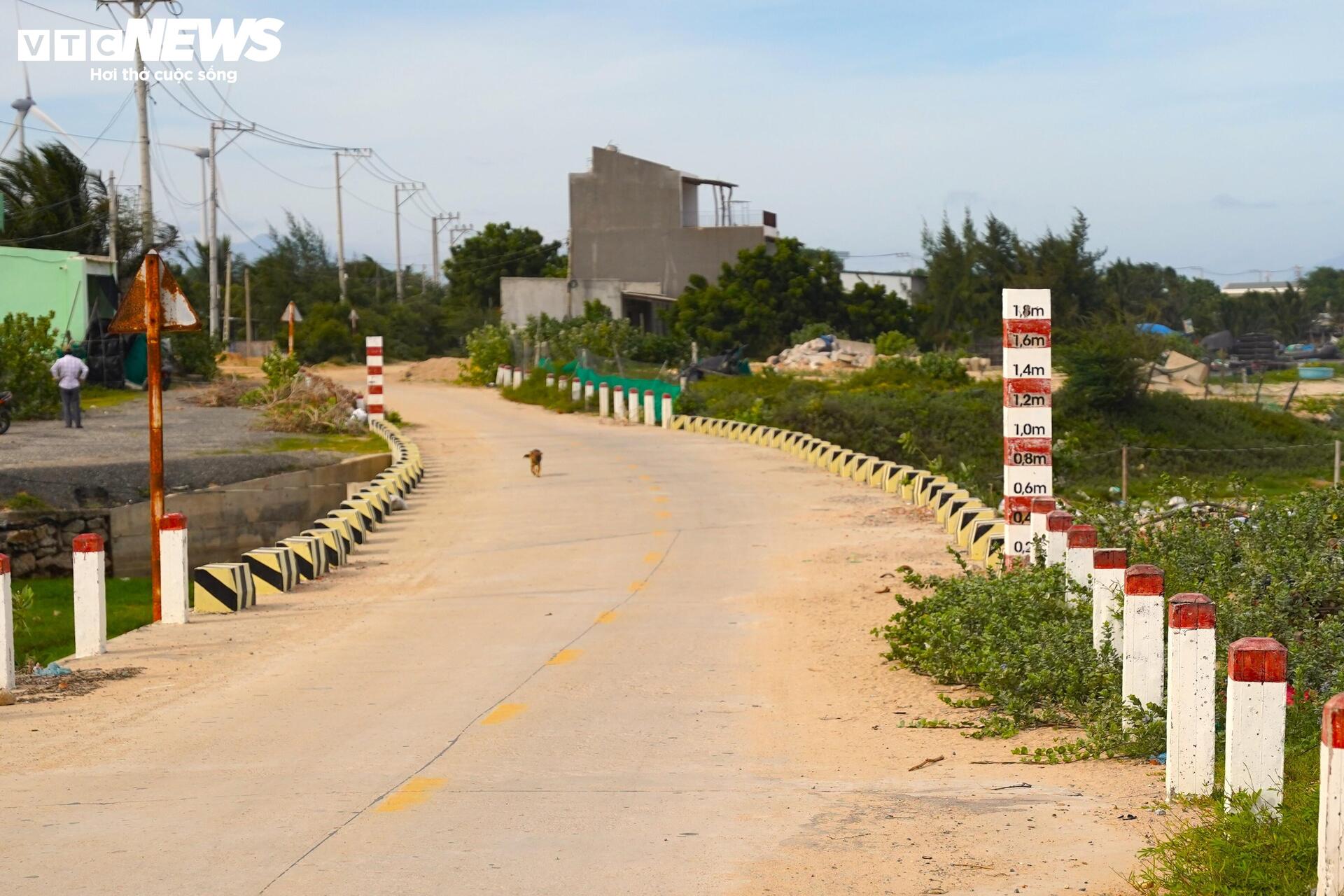 Cận cảnh khu đất ở Khánh Hòa dự kiến làm nhà máy điện hạt nhân - Ảnh 6