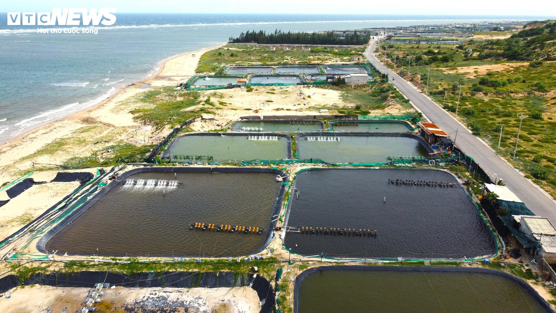 Cận cảnh khu đất ở Khánh Hòa dự kiến làm nhà máy điện hạt nhân - Ảnh 7