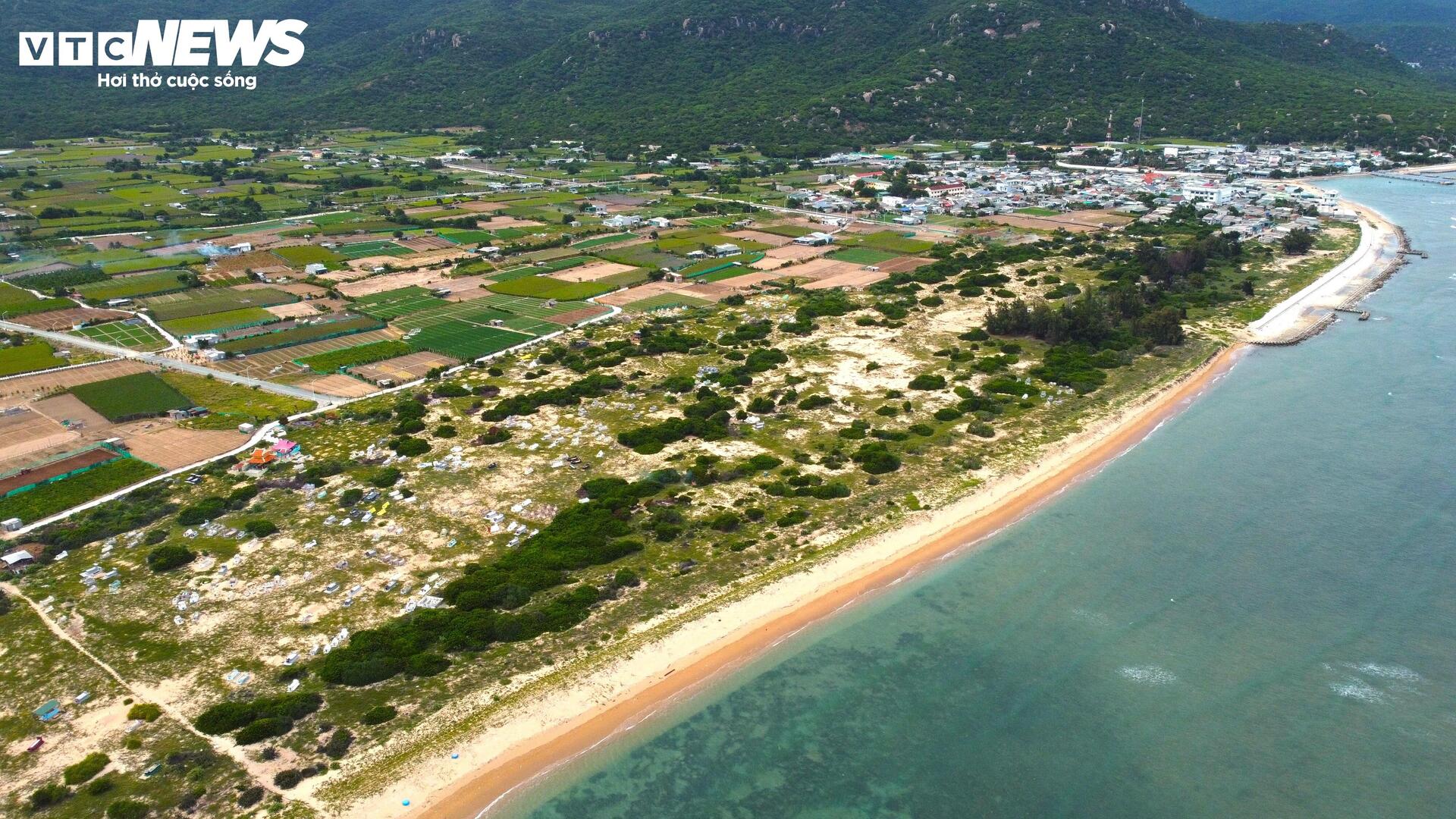 Cận cảnh khu đất ở Khánh Hòa dự kiến làm nhà máy điện hạt nhân - Ảnh 9