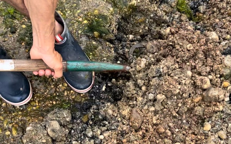 Đi đào giun, người đàn ông phát hiện kho báu vô giá nặng 6kg - Ảnh 1